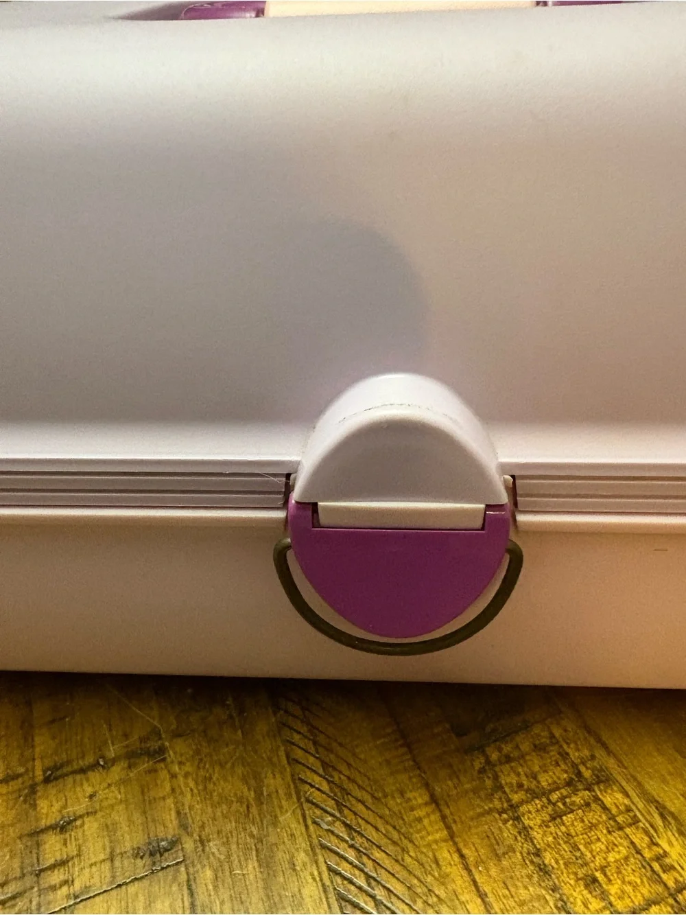 Cute Vintage lilac Caboodle
